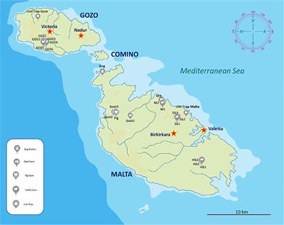 An update on the occurrence of flies (Diptera: Muscidae, Calliphoridae) and sucking lice (Phthiraptera: Anoplura) of veterinary importance in Malta: First record of Lucilia cuprina and Linognathus africanus